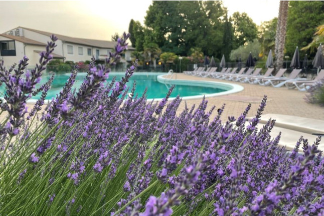 Forfait Spa avec Bain Hydromassant et Déjeuner pour deux à L'hôtel Les Oliviers (Loriol-sur-Drôme, Drôme - 26)