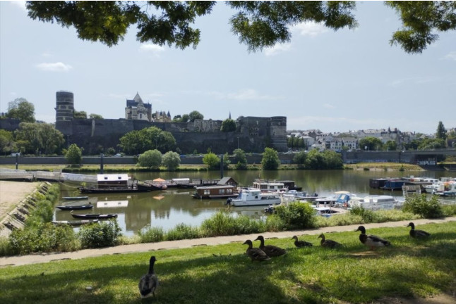 Séjour en Logement Insolite : Nuit sur La Toue Belle de Maine avec Petit-déjeuner (Angers, Maine-et-Loire- 49)