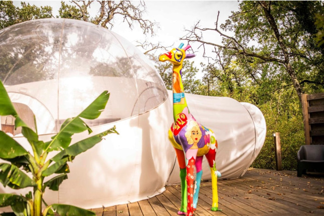 Séjour en Logement Insolite : Nuit dans une Bulle avec Petit-déjeuner et Spa Privatif au domaine Cœur de Bull (Cahuzac-sur-Vère, Tarn - 81)