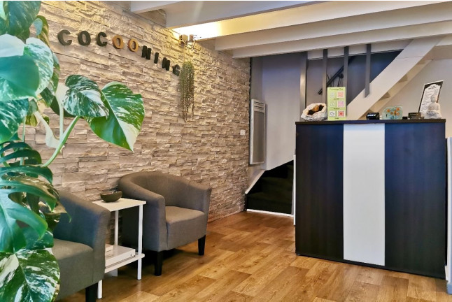Massage Tuina en Duo au Cocooning Spa (Paris, Île-de-France - 75)