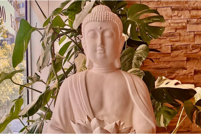 Massage Tuina en Duo au Cocooning Spa (Paris, Île-de-France - 75)