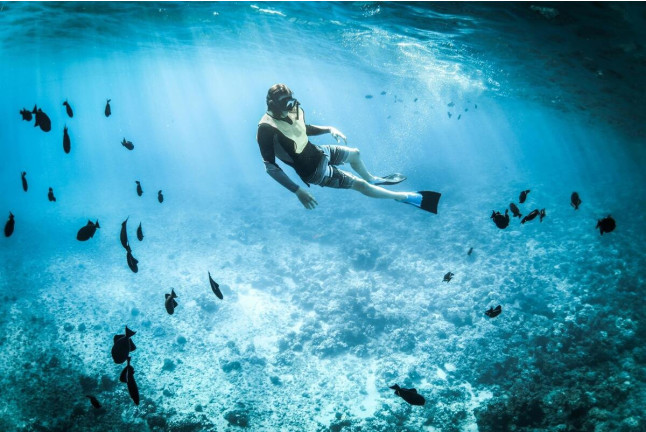 Snorkeling en Randonnée Palmée (Cannes, Alpes-Maritimes - 06)