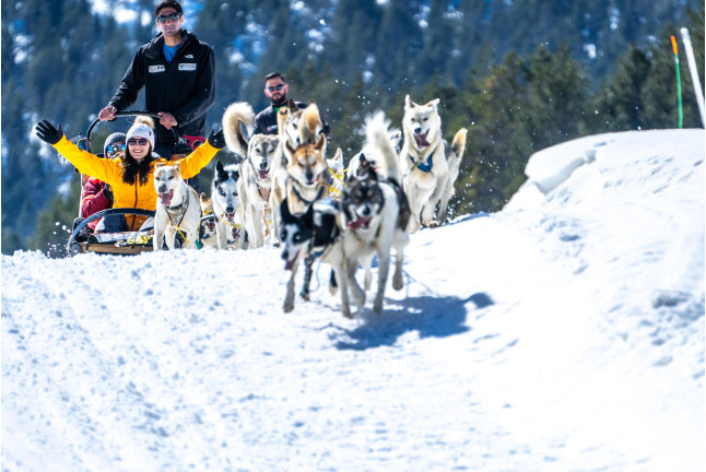 OFFRE : Mushing et Motoneige avec Assurance pour deux à Grandvalira (Andorre)