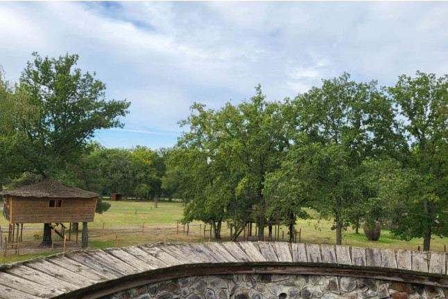 Séjour Insolite : Nuit en Cabane Champignon avec Massage Californien ou Ayurvédique (Fère-en-Tardenois, Hauts-de-France - 02)