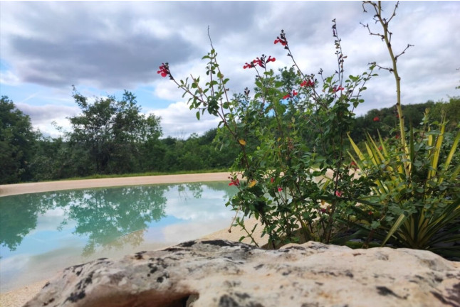 Séjour en Logement Insolite : Nuit dans une Arche Bioclimatique avec Spa Privé et Piscine Chauffée (Le Vignon-en-Quercy, Lot - 46)