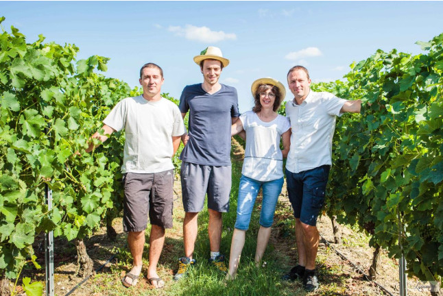 Expérience Découverte de la Vigne à la Cave pour deux (Montans, Tarn - 81)