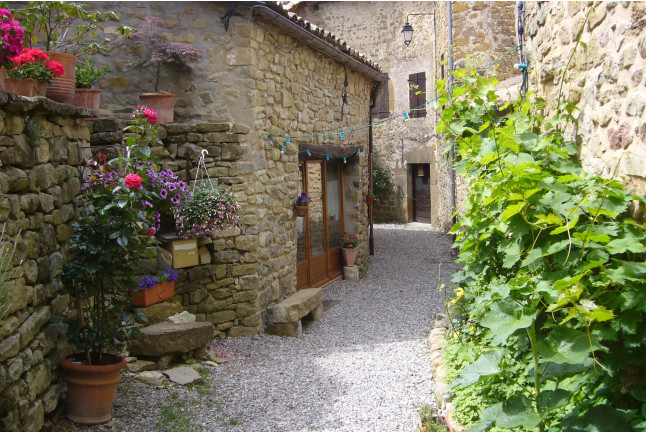 Séjour en Chambre d’Hôtes dans le Sud à Les Roses Trémières (Saint-André-de-Rosans, Hautes Alpes - 05)
