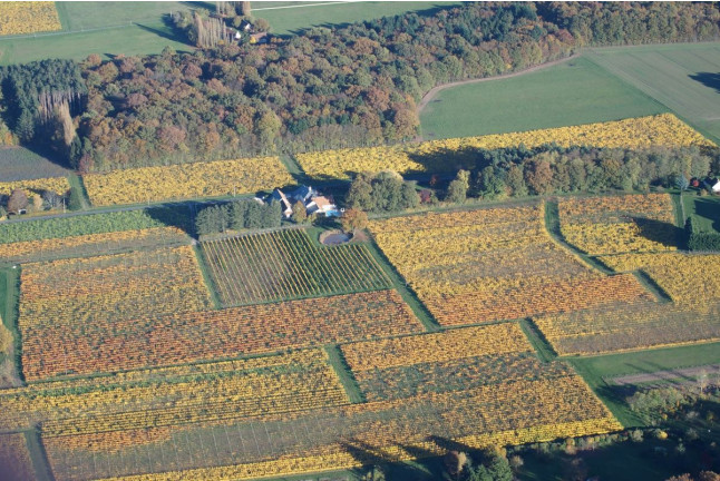 Survol en ULM d'une zone au choix (Francueil, Indre-et-Loire - 37)