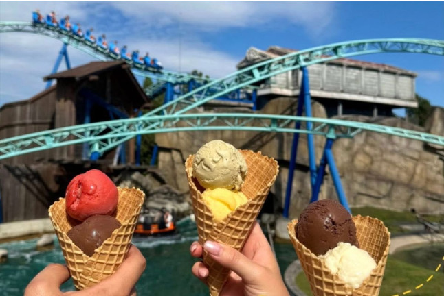 Billet d’entrée au Parc Astérix (Plailly, Oise - 60)