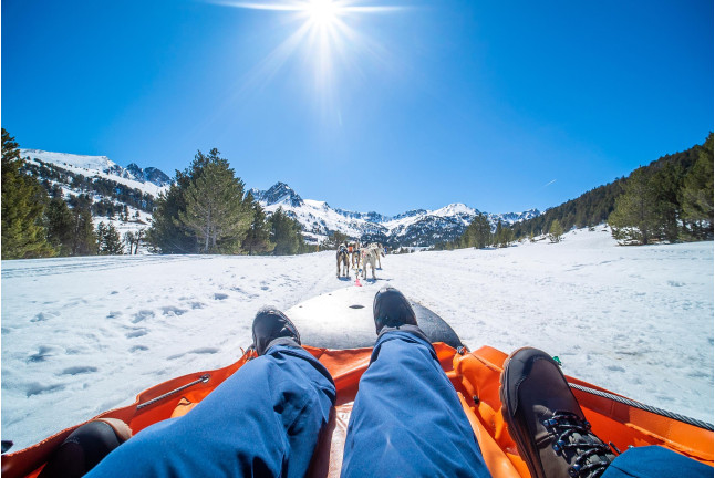 OFFRE Mushing : 2 Km en Traîneau et assurance (Andorre)
