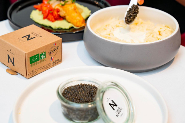 Visite avec Dégustation de Caviar (Neuvic, Dordogne - 24)