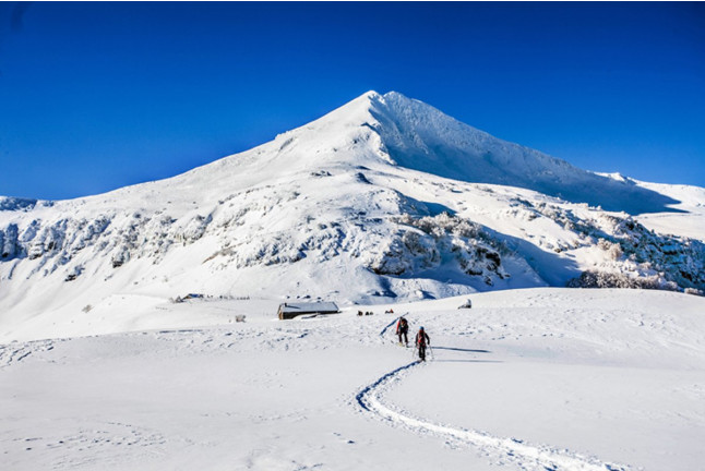 Sortie Nature et Découverte en Raquettes à Neige (Laveissière, Cantal - 15)