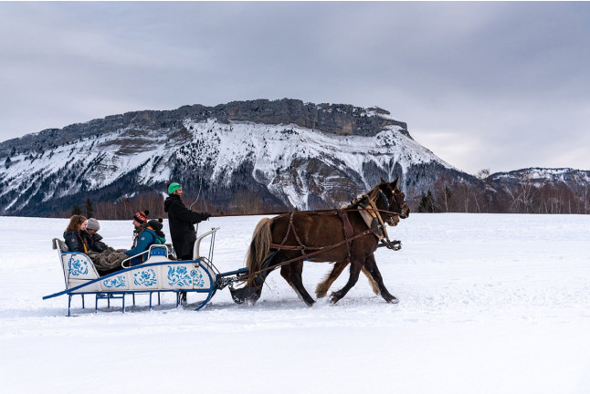 Balade en Traîneau Privatisé Petit Canada dans les Alpes (La Féclaz, Savoie - 73)