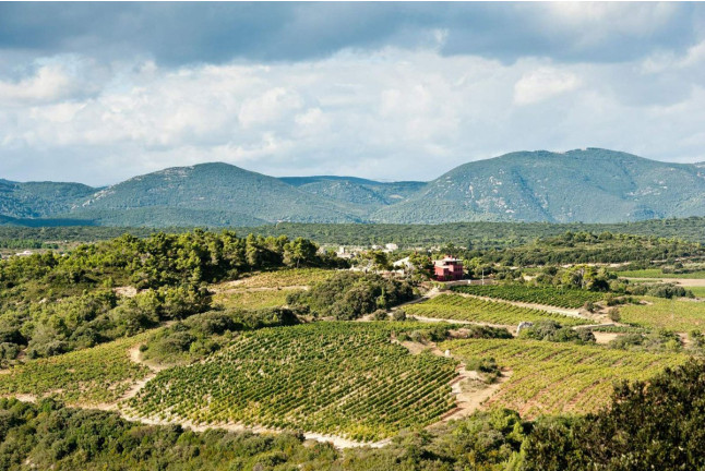 Séjour Gastronomique avec Dîner et Visite de la Cave au Château et Village Castigno 5* (Assignan, Hérault - 34)