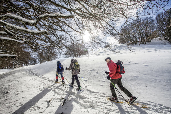 Randonnée Détente du Matin en Raquettes à Neige (Laveissière, Cantal - 15)