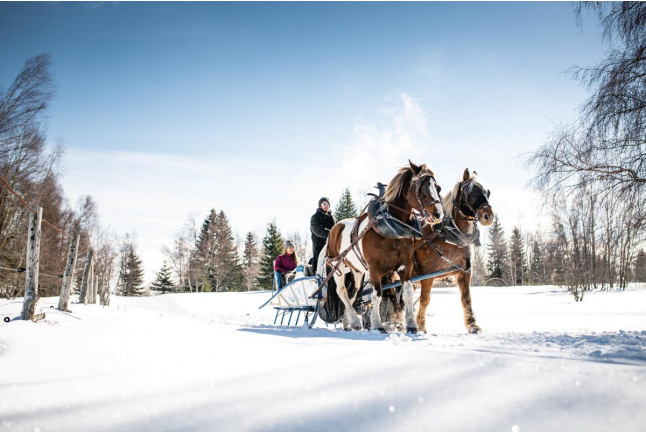 Balade en Traîneau à Cheval Privatisé Grand Nord (La Féclaz, Savoie - 73)