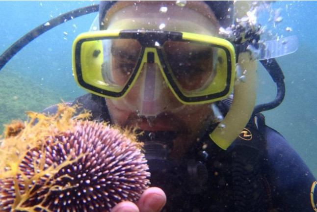 Plongeur Niveau 1 ou Scuba Diver (Gignac-la-Nerthe, Bouches-du-Rhône - 13)