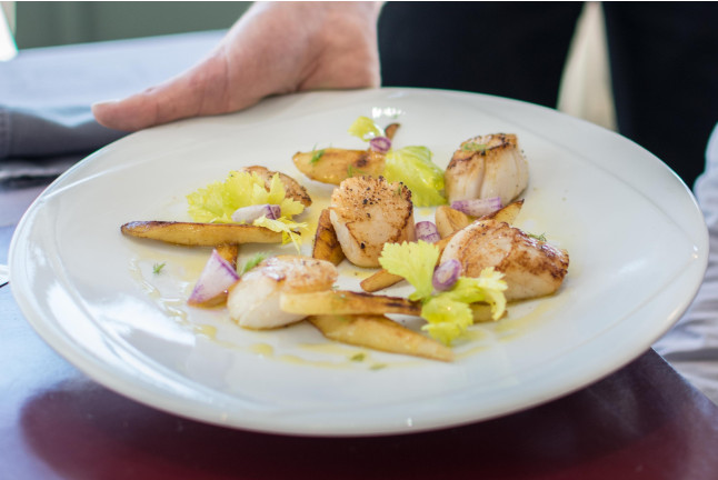 Séjour avec Dîner et Sauna à l’Hôtel Restaurant le Tivoli pour deux (Vic-en-Bigorre, Hautes-Pyrénées - 65)