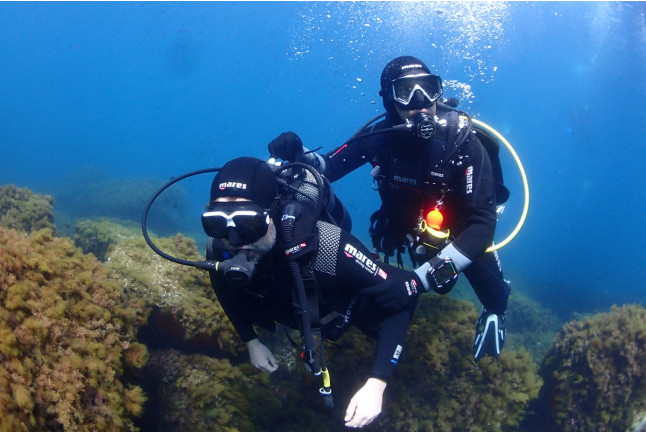 Baptême de Plongée Sous-Marine (Calvi, Haute-Corse - 2B)