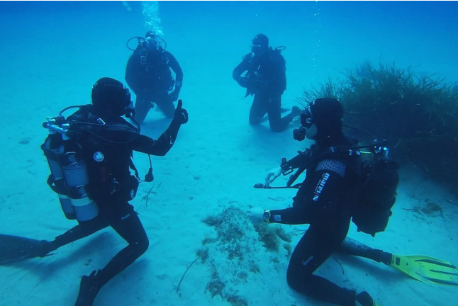 Baptême de Plongée Sous-Marine (Calvi, Haute-Corse - 2B)