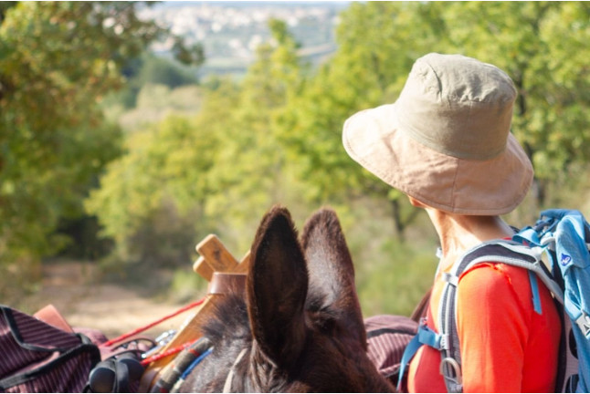Randonnée “Renard” avec les Ânes (Saint-Martin-de-Brômes, PACA - 04)