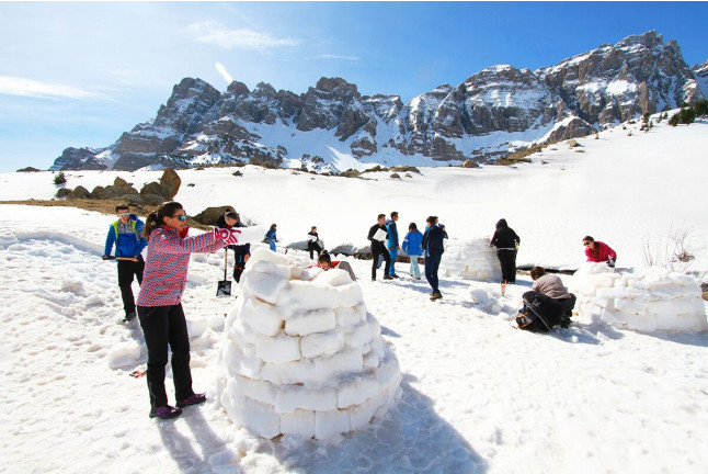 Pack de Survie Nordique : Orientation, Raquettes et Construction d'Igloos (Huesca, Espagne)