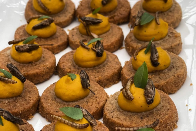 Repas Gastronomique - Menu “Le Chemin des Abeilles” en 7 Services (Paris, Île-de-France - 75)