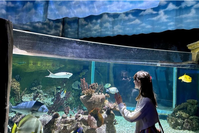 Billets pour Sea Life Paris Val d'Europe (Serris, Seine-et-Marne - 77)