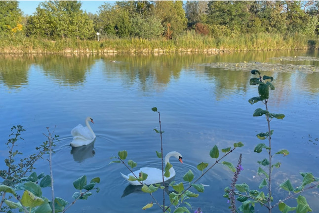 Séjour Insolite : Nuit en Lodge Refuge avec Bain Nordique Privatif au Domaine du Canal (Montcresson, Loiret - 45)