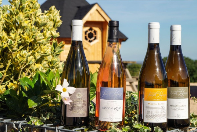 Séjour Romantique avec Petit-déjeuner, Dégustation de Vin et Visite du Domaine Joseph Lafarge (Lugny, Bourgogne- 71)