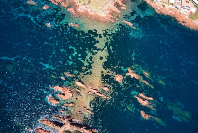 Excursion Snorkeling en Bateau au Cap Dramont et l’Île d’Or (Saint-Raphaël, Var - 83)