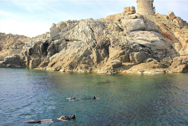 Snorkeling et Randonnée Palmée à Capo Rosso (Cargèse, Corse-du-Sud - 20)