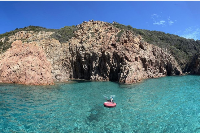 Snorkeling et Randonnée Palmée à Punta Locca (Cargèse, Corse-du-Sud - 20)