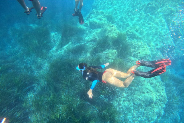 Excursion Snorkeling en Bateau aux Calanques d'Anthéor et l’Île des Vieilles (Saint-Raphaël, Var - 83)