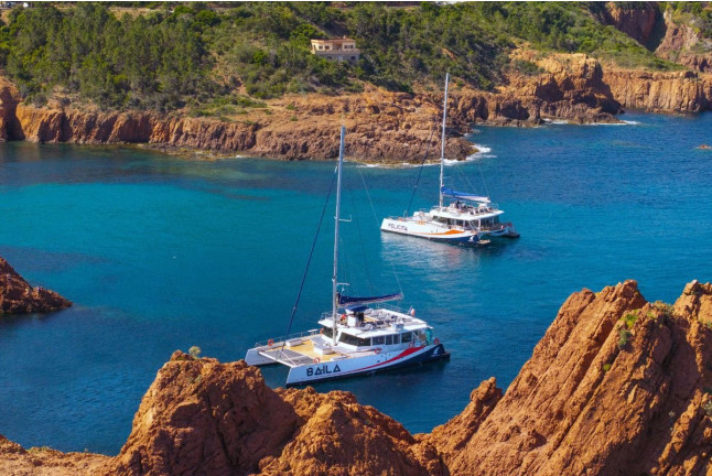 Sortie en Catamaran en Matinée (Var / Alpes-Maritimes / Bouches-du-Rhône)