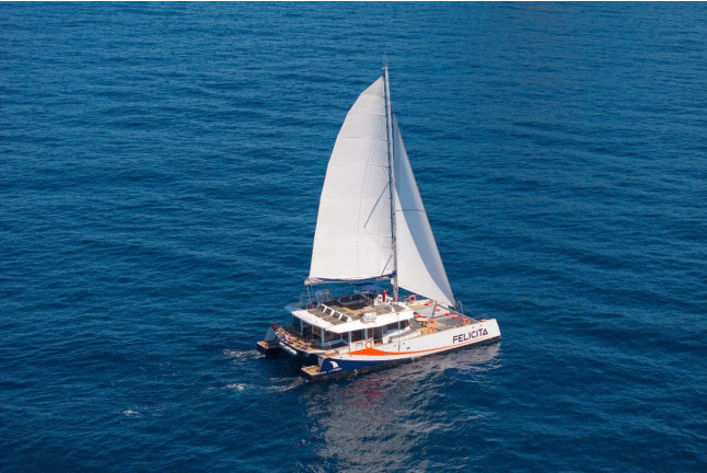 Sortie en Catamaran en Après-midi (Var / Alpes-Maritimes / Bouches-du-Rhône)