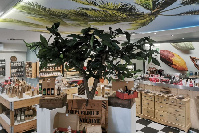 Formule Escapade Zen avec Spa Pivatif et Massage en Duo au Spa Alliance Cacao (Bessines, Deux-Sèvres - 79)