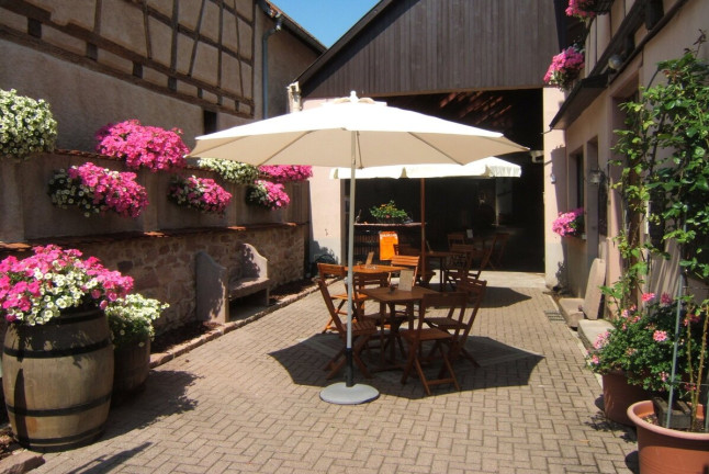 Atelier Sensoriel et Ludique autour du Vin d’Alsace (Saint-Hippolyte, Haut-Rhin - 68)
