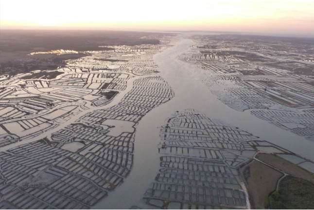 Vol sur la Côte Sauvage en ULM (Saint-Sulpice-de-Royan, Nouvelle-Aquitaine)