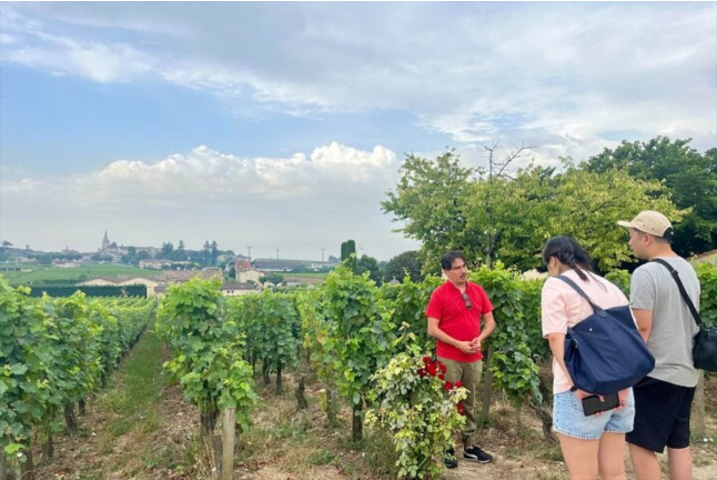 Journée Visite à Saint-Emilion et Pomerol avec Déjeuner et Dégustation de Vins pour deux (Bordeaux, Gironde- 33)