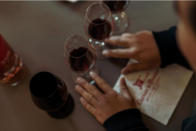 Visite “Privilège” et Dégustation de Vin au Domaine Château de Pressac pour deux (Saint-Étienne-de-Lisse, 33)