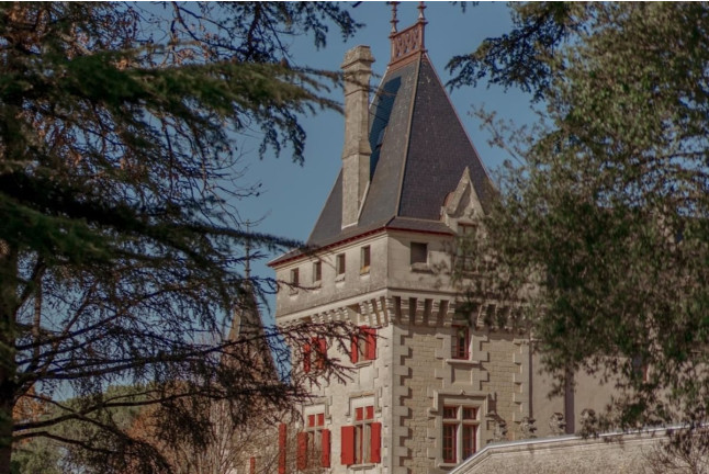 Visite “Privilège” et Dégustation de Vin au Domaine Château de Pressac pour deux (Saint-Étienne-de-Lisse, 33)