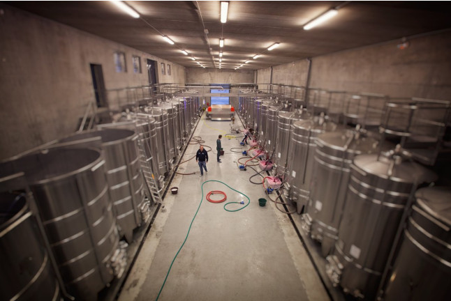 Visite des Chais et Dégustation de Spécialités Locales pour deux (Chinon, Indre-et-Loire - 37)
