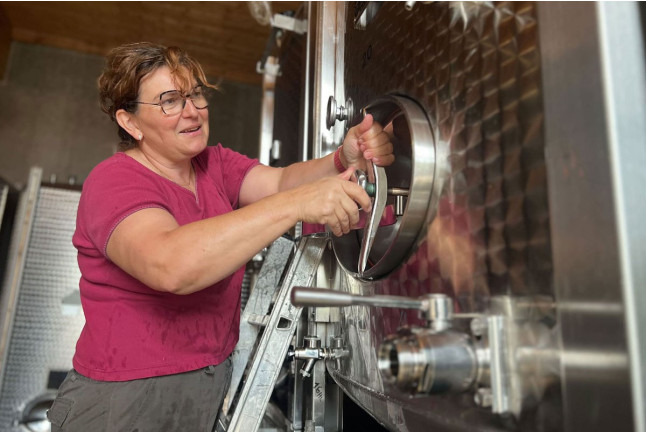 Osez le vin au féminin : Balade dans les Vignes et Visite de Cave avec Dégustation (Gueberschwihr, Haut-Rhin - 68)