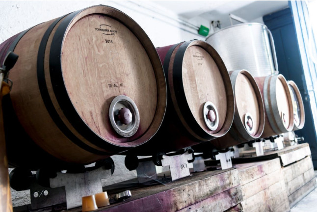 Initiation à la Dégustation des Vins pour deux (Cascatel-des-Corbières, Aude - 11)