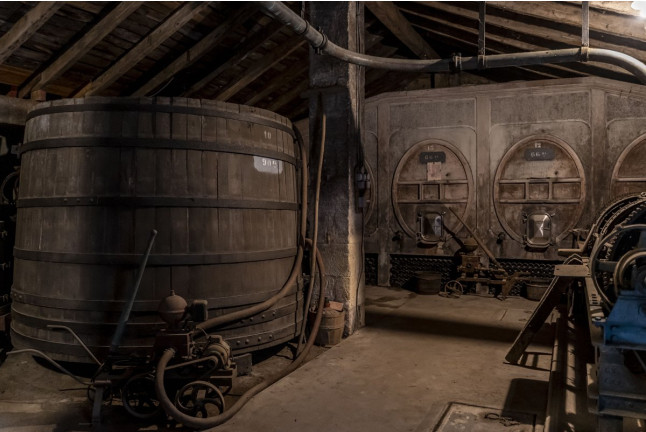Visite et Dégustation de la gamme de Vins du Château Nodot (Saint-Christoly-de-Blaye, Gironde - 33)
