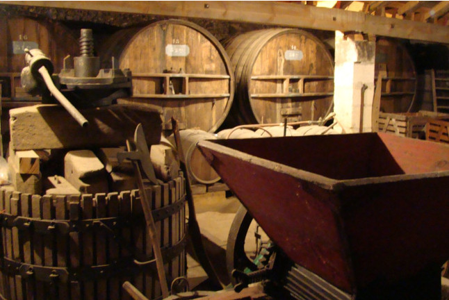 Visite et Dégustation d’accords Mets et Vins du Château Nodot (Saint-Christoly-de-Blaye, Nouvelle-Aquitaine - 33)