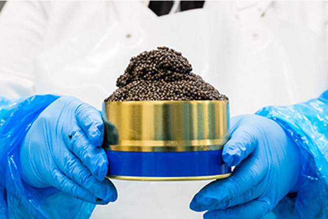 Immersion dans l'Atelier de Fabrication de Caviar avec Dégustation (Neuvic, Dordogne - 24)