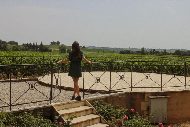 Visite avec Dégustation de 3 Vins et Pique-nique en Duo aux Vignobles Chatonnet (Néac, Gironde - 33)