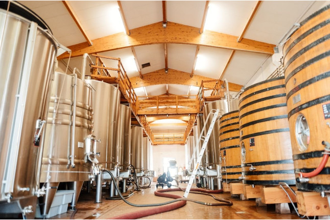 Visite avec Dégustation de 3 Vins et Pique-nique en Duo aux Vignobles Chatonnet (Néac, Gironde - 33)
